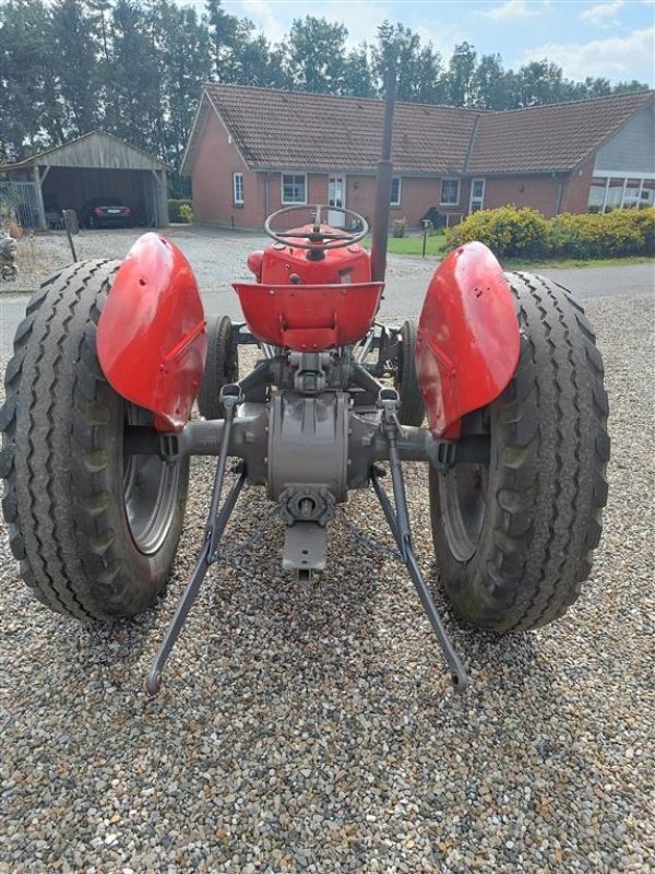 Traktor du type Massey Ferguson 35 benzin, Gebrauchtmaschine en Ejstrupholm (Photo 2)