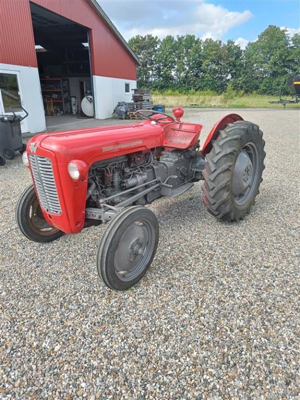 Traktor Türe ait Massey Ferguson 35 benzin, Gebrauchtmaschine içinde Ejstrupholm (resim 5)