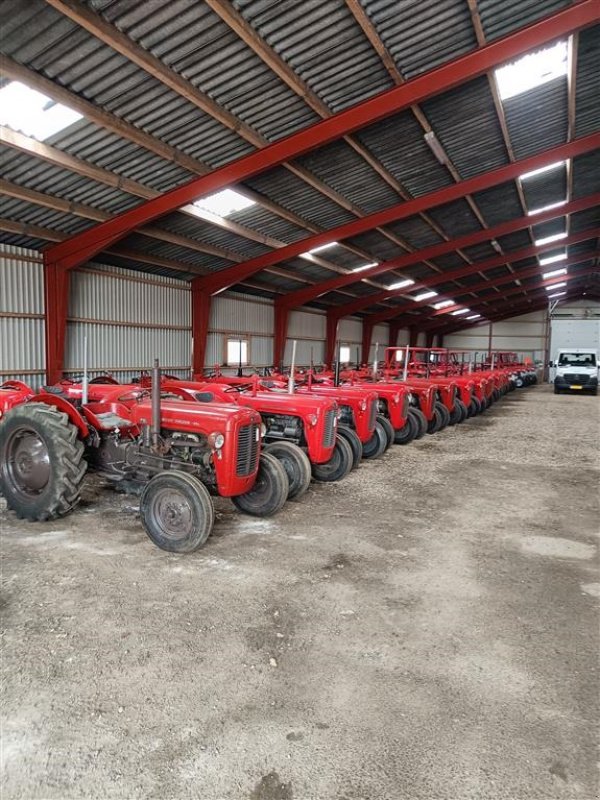 Traktor du type Massey Ferguson 35 benzin, Gebrauchtmaschine en Ejstrupholm (Photo 6)