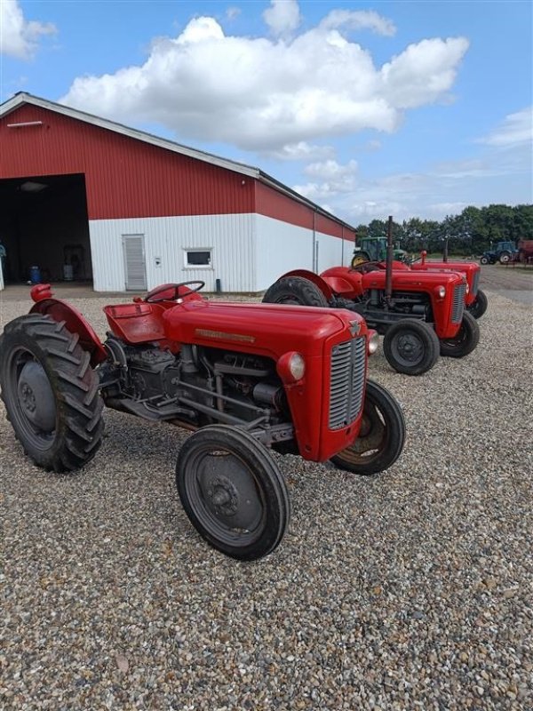 Traktor du type Massey Ferguson 35 benzin, Gebrauchtmaschine en Ejstrupholm (Photo 4)