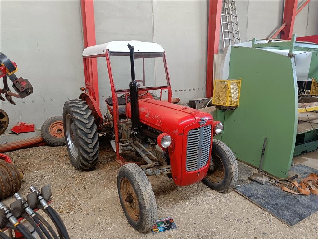 Traktor a típus Massey Ferguson 35 benzin, Gebrauchtmaschine ekkor: Egtved (Kép 1)