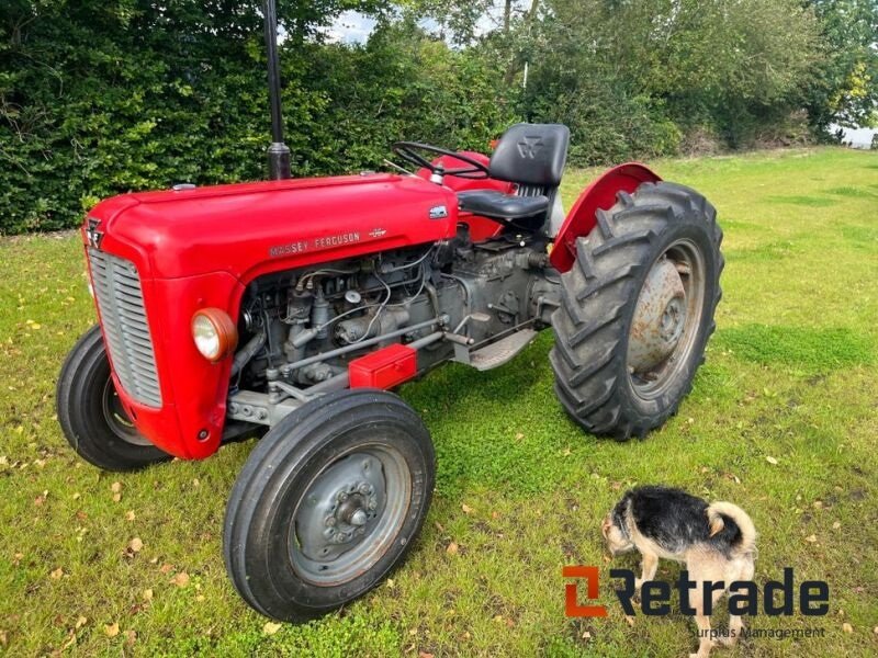 Traktor of the type Massey Ferguson 35 benzin, Gebrauchtmaschine in Rødovre (Picture 1)