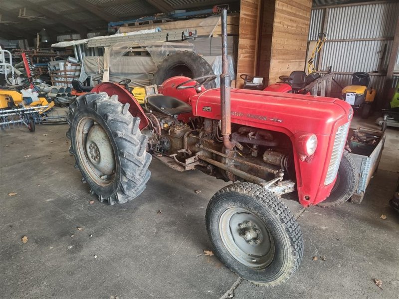 Traktor des Typs Massey Ferguson 35 Momsfri, Gebrauchtmaschine in Egtved (Bild 1)