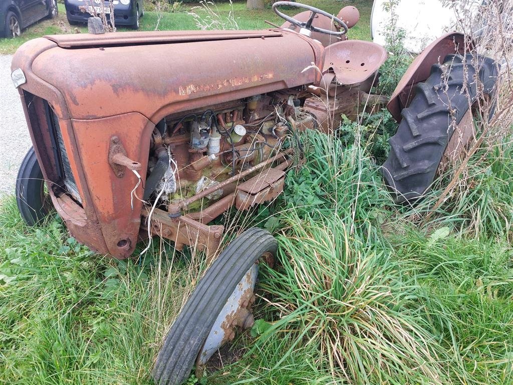 Traktor des Typs Massey Ferguson 35, Gebrauchtmaschine in Høng (Bild 4)