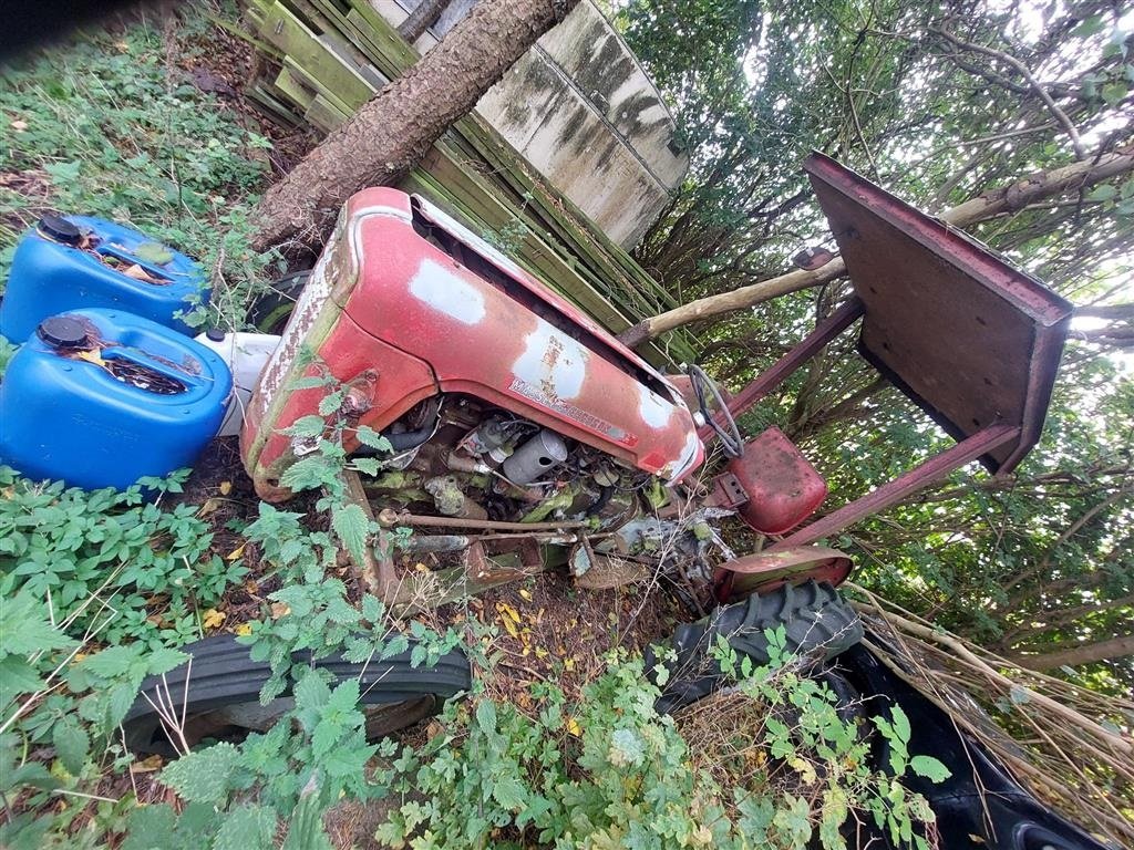 Traktor tip Massey Ferguson 35, Gebrauchtmaschine in Høng (Poză 6)