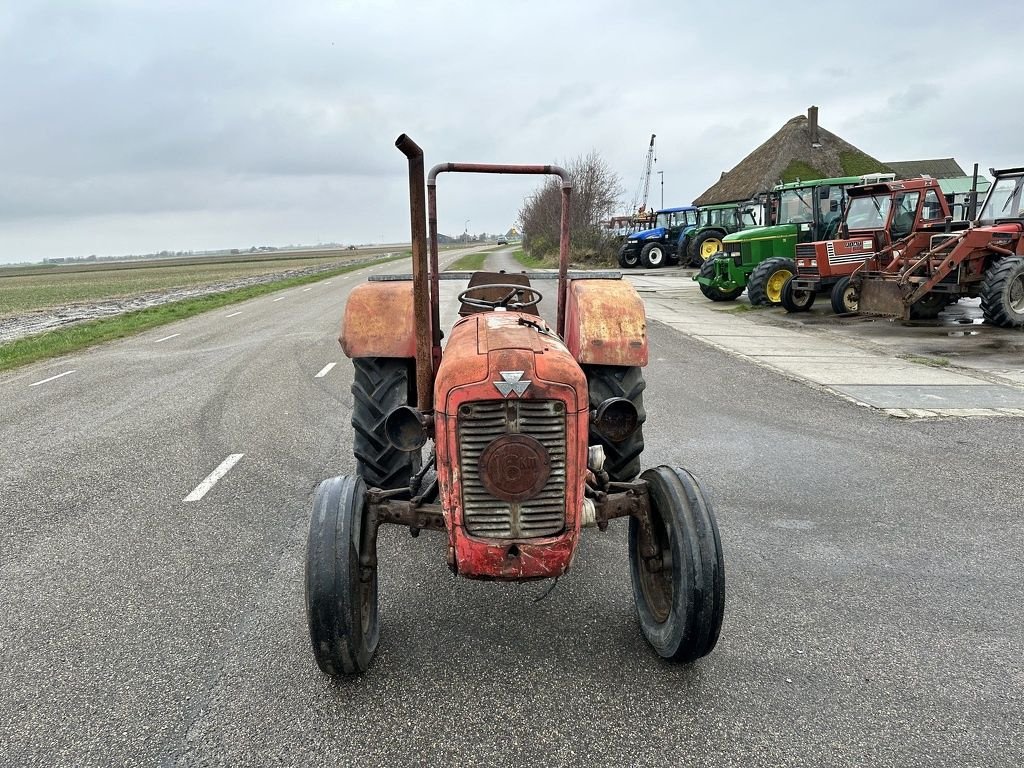Traktor Türe ait Massey Ferguson 35, Gebrauchtmaschine içinde Callantsoog (resim 2)