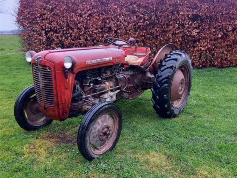 Traktor του τύπου Massey Ferguson 35, Gebrauchtmaschine σε Rødovre (Φωτογραφία 1)