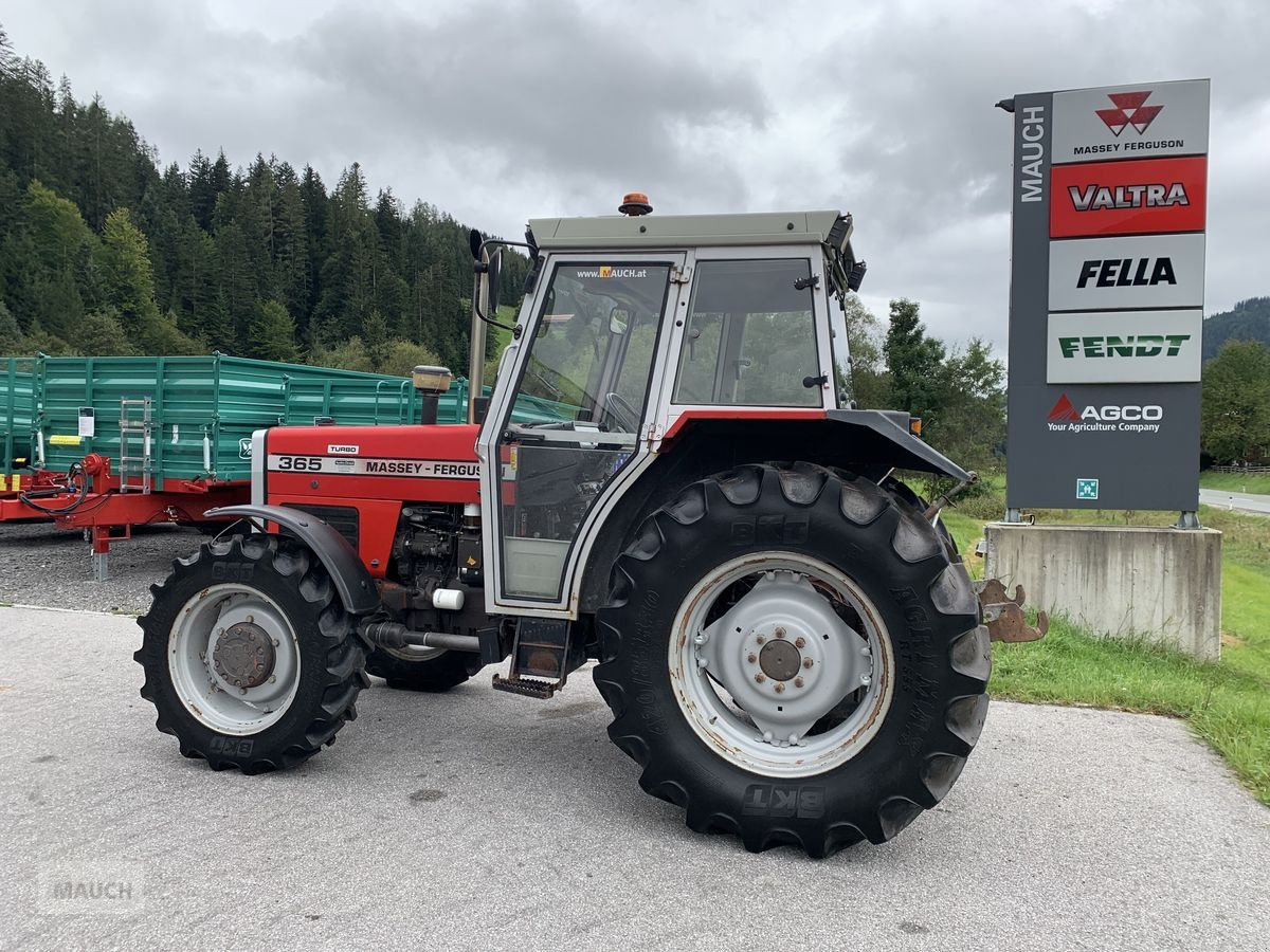 Traktor του τύπου Massey Ferguson 365-4, Gebrauchtmaschine σε Eben (Φωτογραφία 9)