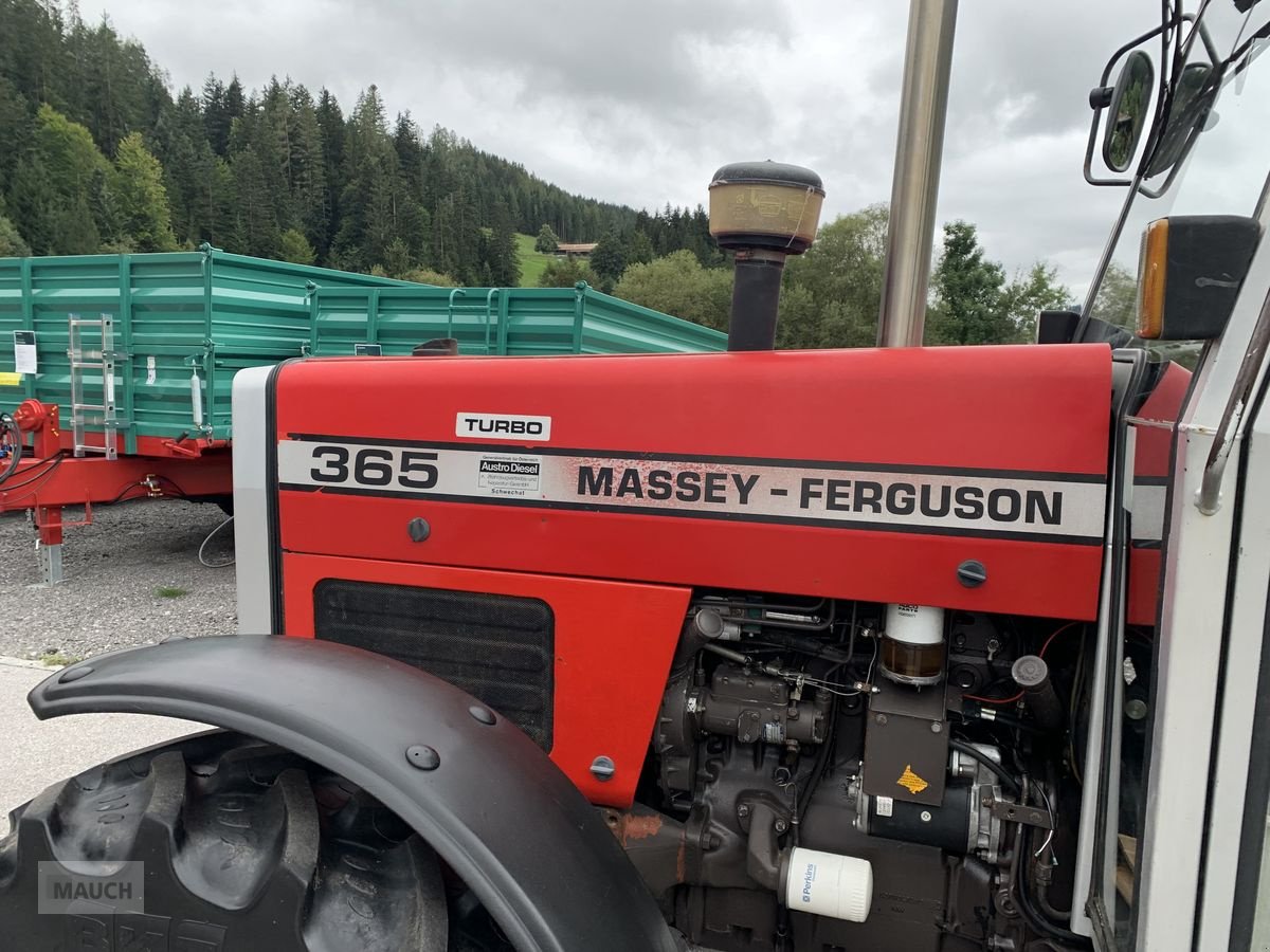 Traktor Türe ait Massey Ferguson 365-4, Gebrauchtmaschine içinde Eben (resim 10)