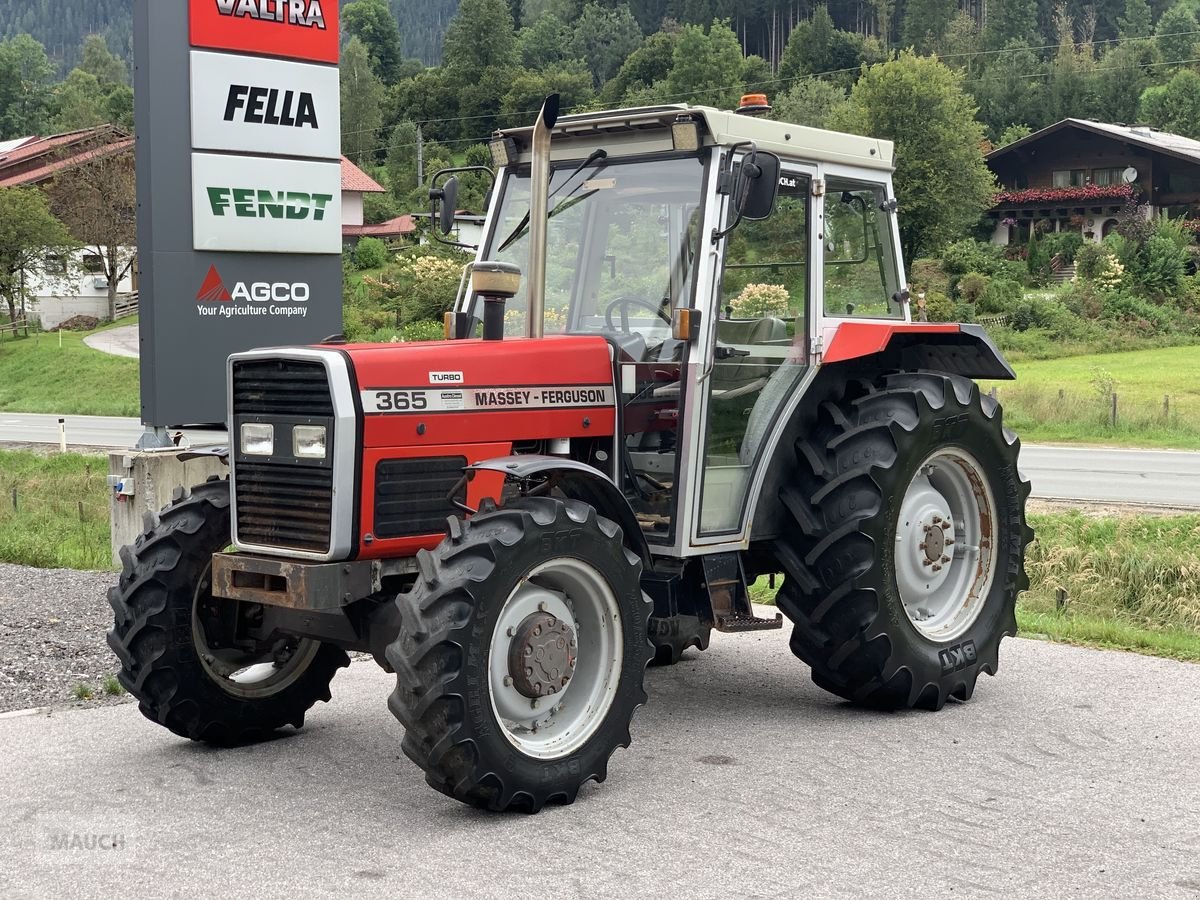 Traktor des Typs Massey Ferguson 365-4, Gebrauchtmaschine in Eben (Bild 2)