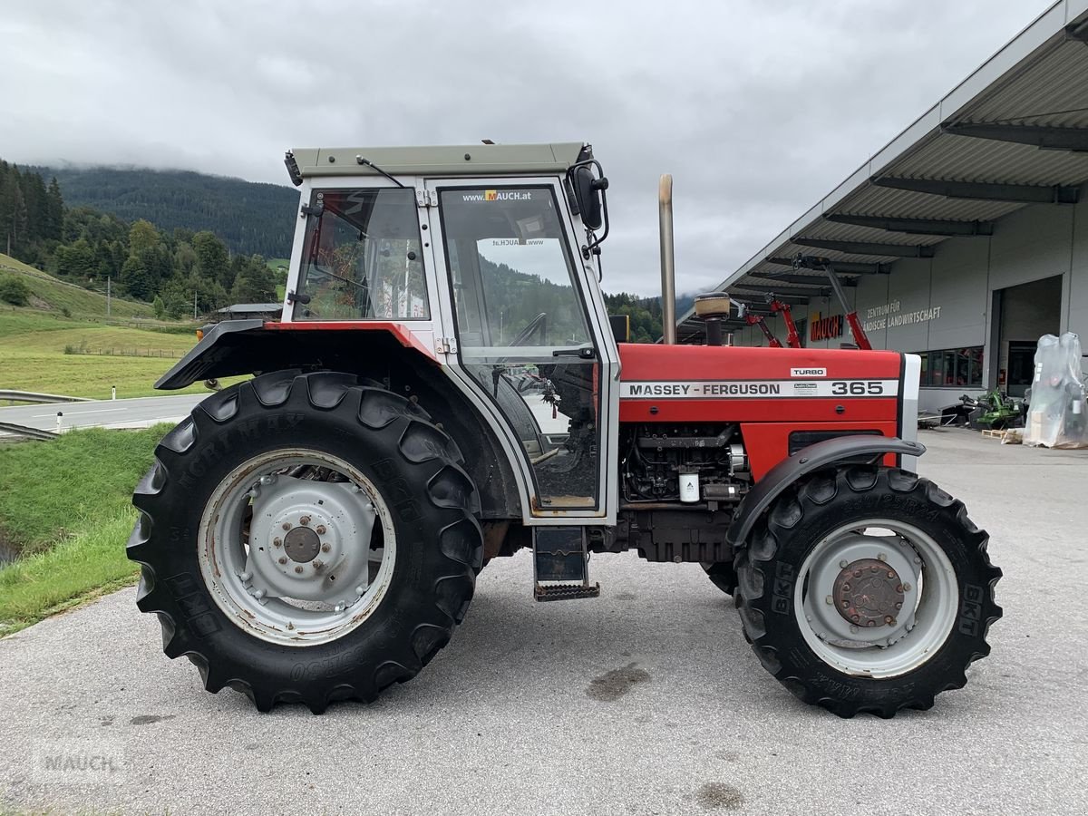 Traktor του τύπου Massey Ferguson 365-4, Gebrauchtmaschine σε Eben (Φωτογραφία 5)