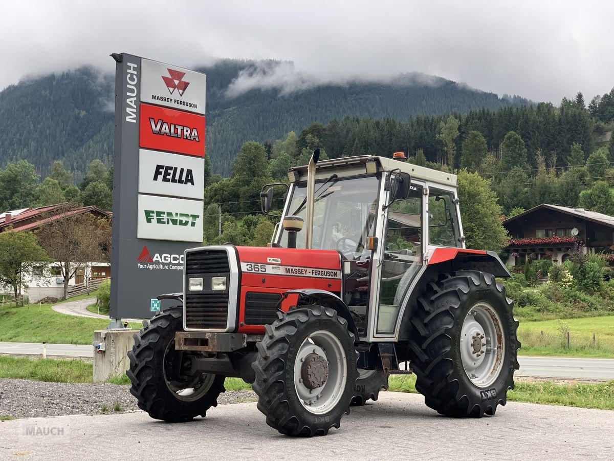 Traktor van het type Massey Ferguson 365-4, Gebrauchtmaschine in Eben (Foto 1)