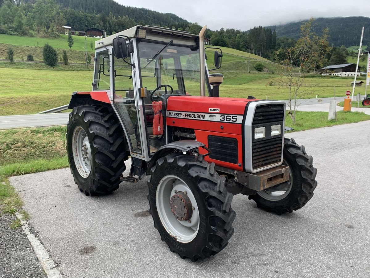 Traktor of the type Massey Ferguson 365-4, Gebrauchtmaschine in Eben (Picture 4)