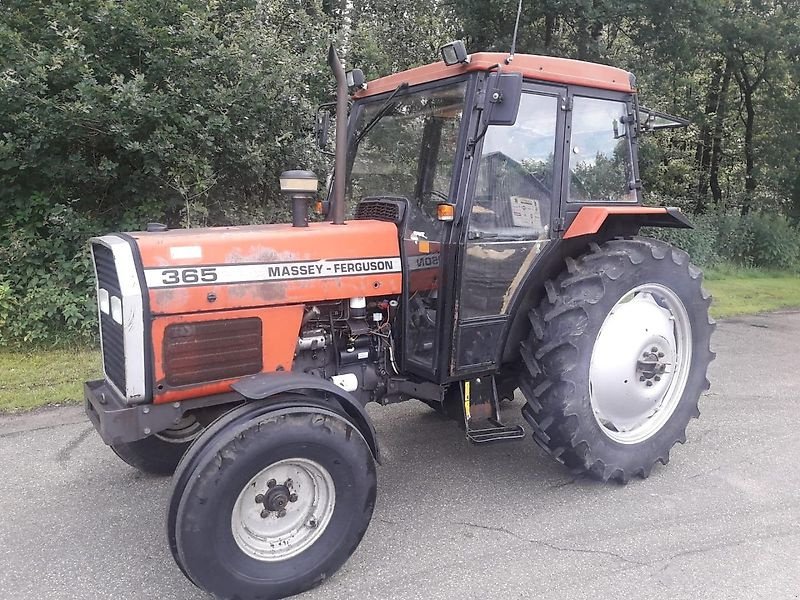 Traktor Türe ait Massey Ferguson 365, Gebrauchtmaschine içinde Itterbeck (resim 1)