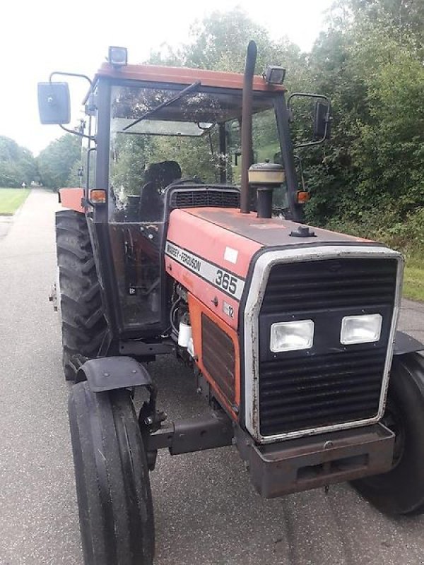 Traktor Türe ait Massey Ferguson 365, Gebrauchtmaschine içinde Itterbeck (resim 3)