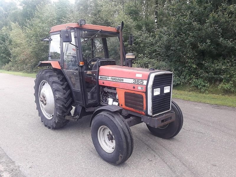 Traktor Türe ait Massey Ferguson 365, Gebrauchtmaschine içinde Itterbeck (resim 4)