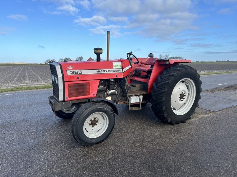 Traktor Türe ait Massey Ferguson 365, Gebrauchtmaschine içinde Callantsoog (resim 1)