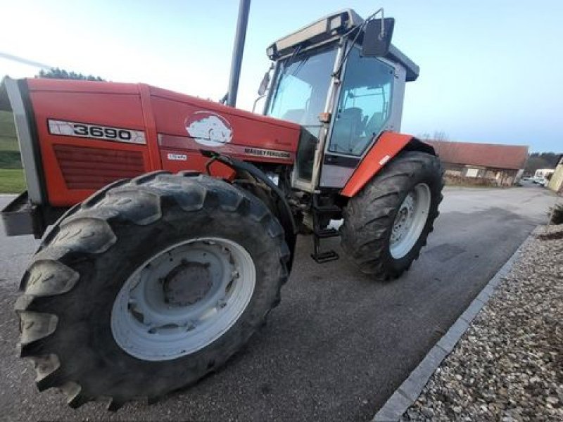 Traktor tip Massey Ferguson 3690-4 m. Klima, Gebrauchtmaschine in NATTERNBACH (Poză 13)