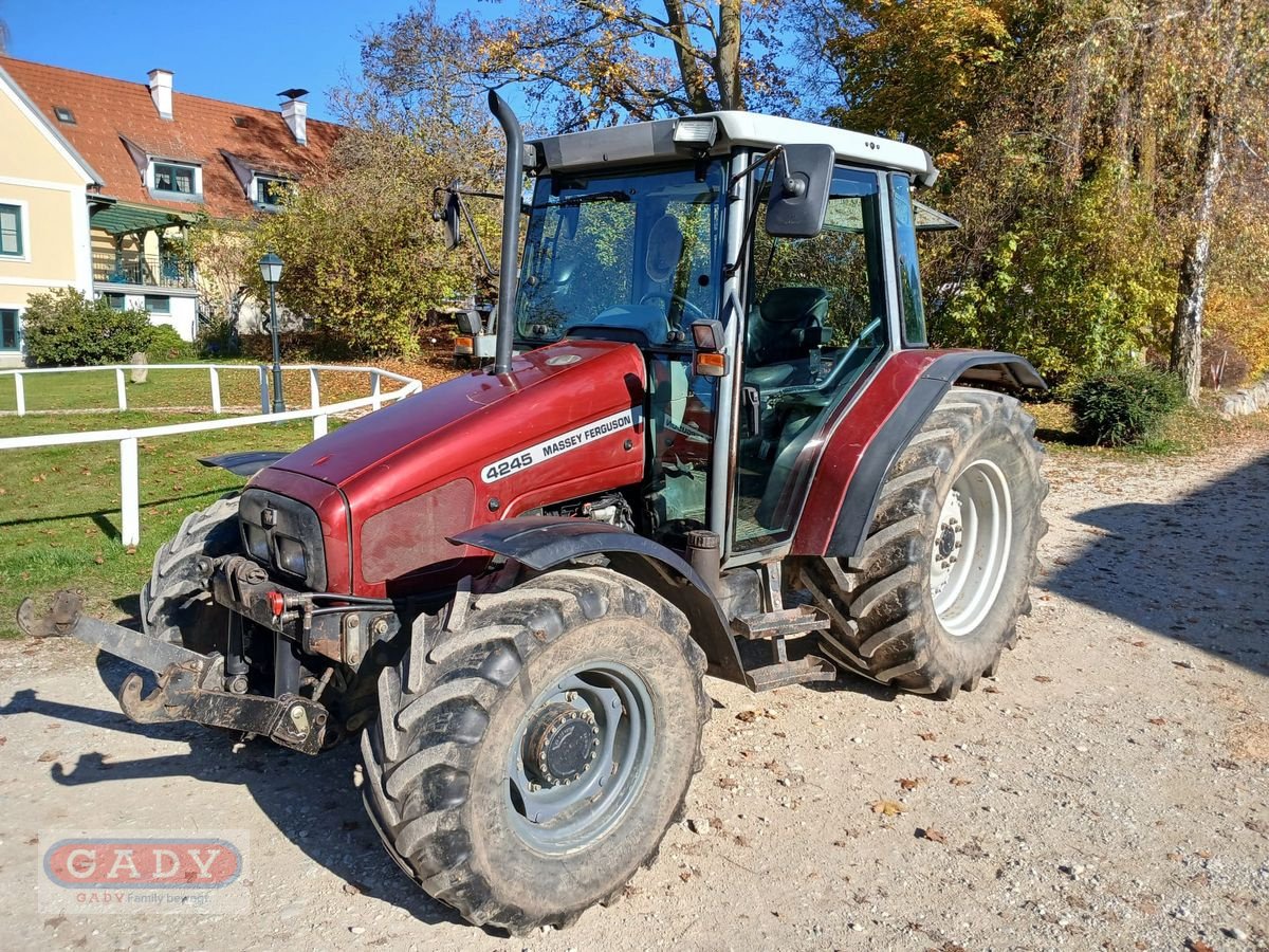 Traktor du type Massey Ferguson 4245-4 LP, Gebrauchtmaschine en Lebring (Photo 1)