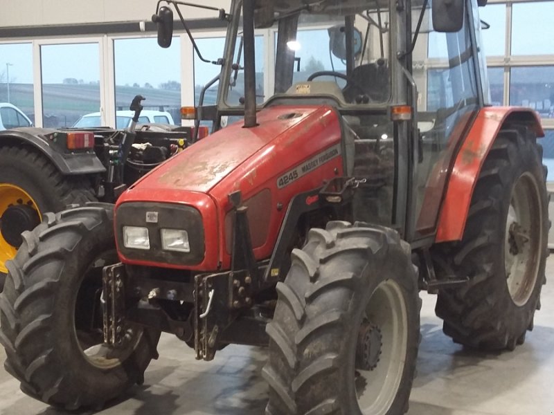 Traktor van het type Massey Ferguson 4245, Gebrauchtmaschine in Stillfried (Foto 1)