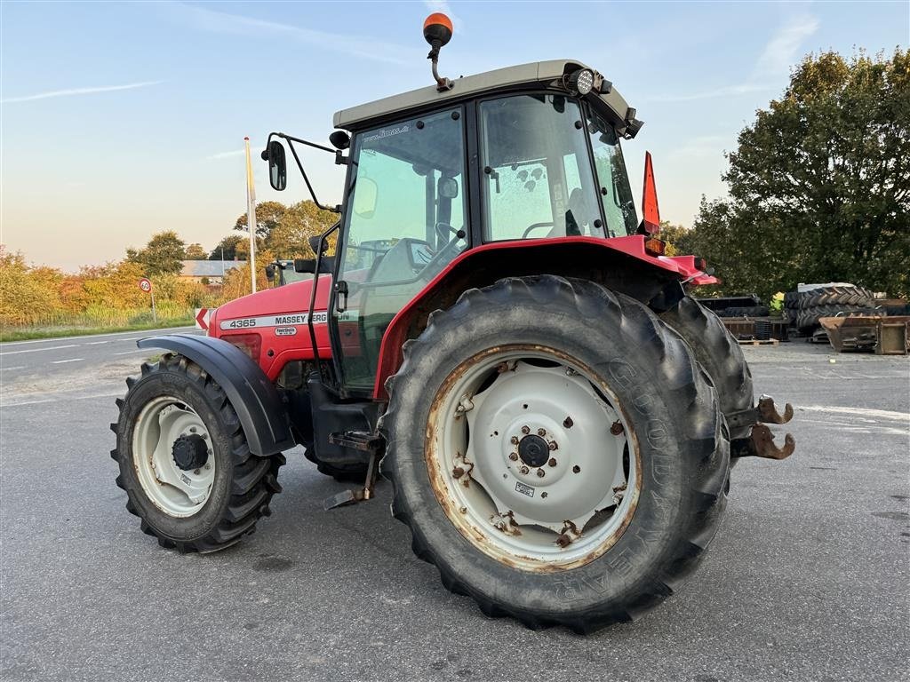 Traktor a típus Massey Ferguson 4365 KUN 2100 TIMER!, Gebrauchtmaschine ekkor: Nørager (Kép 5)