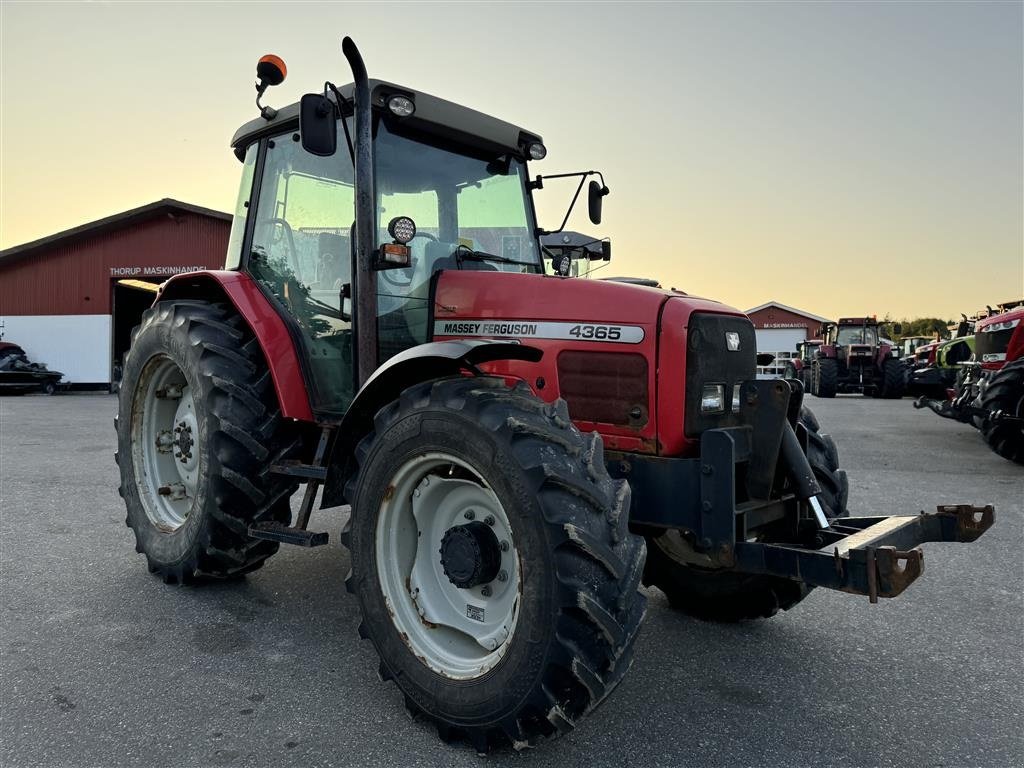 Traktor a típus Massey Ferguson 4365 KUN 2100 TIMER!, Gebrauchtmaschine ekkor: Nørager (Kép 8)