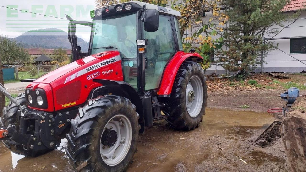 Traktor Türe ait Massey Ferguson 5445-4 standard Standard, Gebrauchtmaschine içinde NIEDERWÖLZ (resim 1)