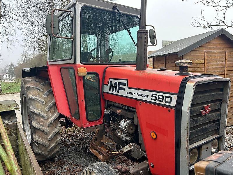 Traktor del tipo Massey Ferguson 590, Gebrauchtmaschine In Tiefensall (Immagine 1)