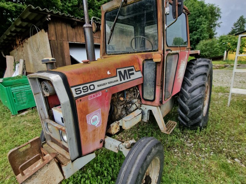 Traktor des Typs Massey Ferguson 590, Gebrauchtmaschine in Kirchbarg an der Raab (Bild 1)