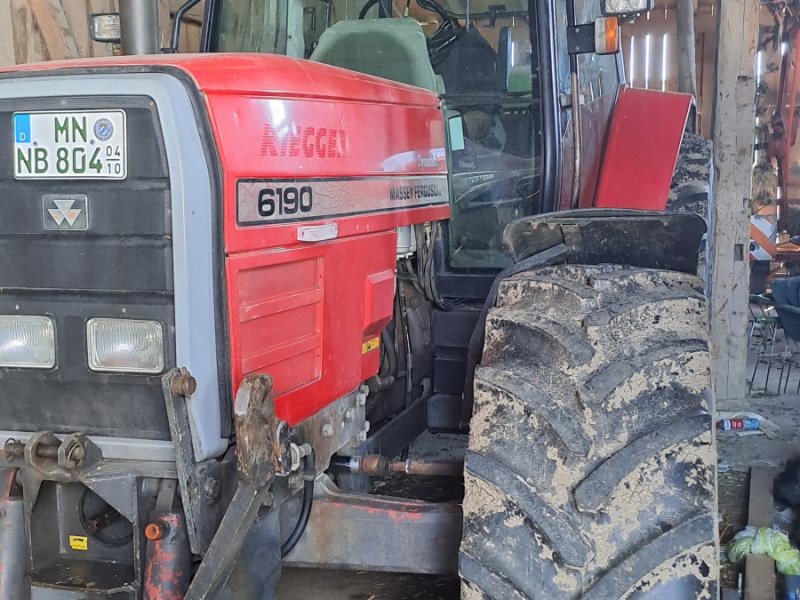 Traktor des Typs Massey Ferguson 6190, Gebrauchtmaschine in Mindelheim (Bild 1)