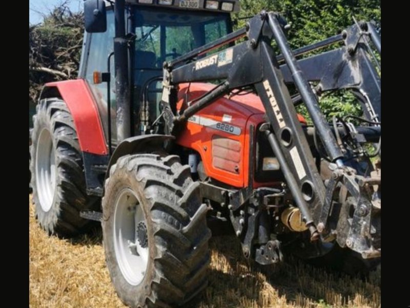 Traktor typu Massey Ferguson 6260, Gebrauchtmaschine v Ottersweier (Obrázek 1)