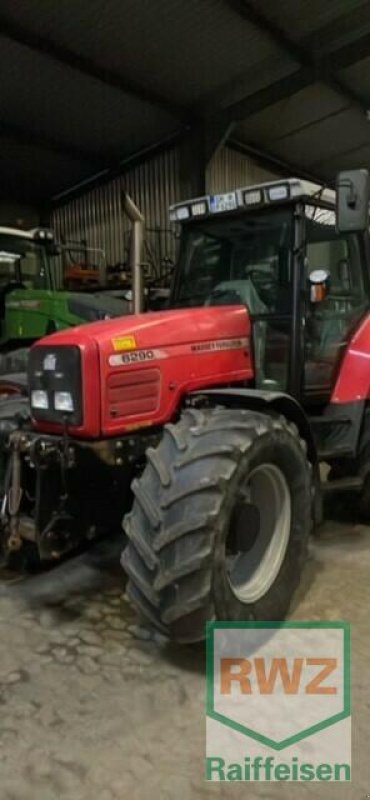 Traktor typu Massey Ferguson 6290, Gebrauchtmaschine w Wipperfürth (Zdjęcie 1)