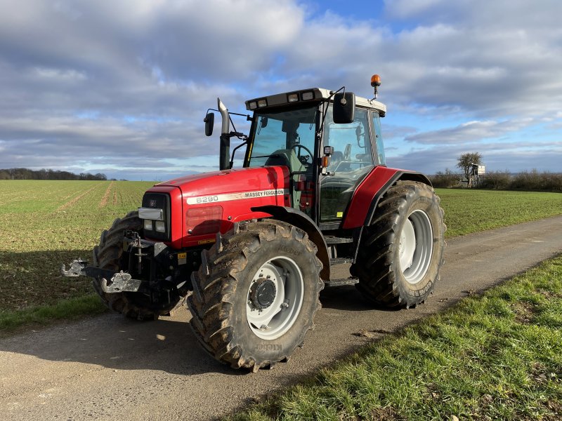 Traktor del tipo Massey Ferguson 6290, Gebrauchtmaschine In Grünsfeld (Immagine 1)