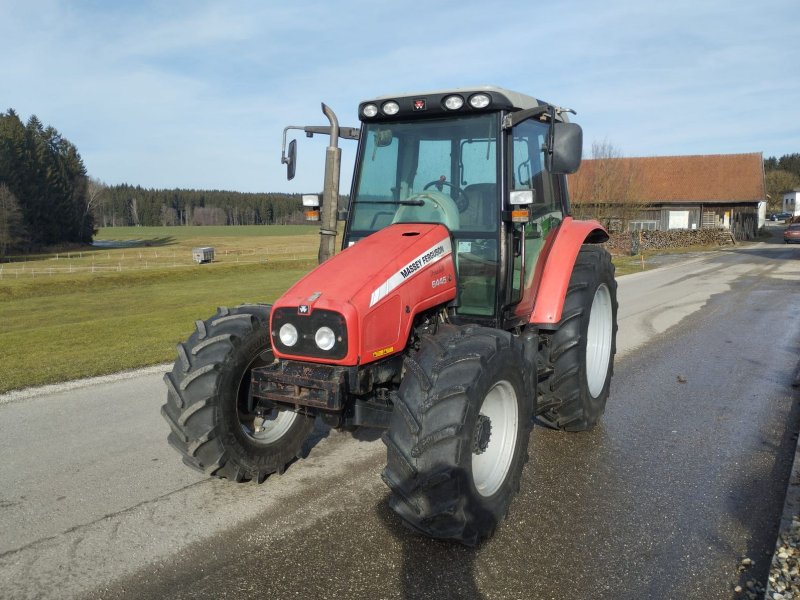 Traktor del tipo Massey Ferguson 6445-4 Dynashift Plus, Gebrauchtmaschine en NATTERNBACH (Imagen 1)