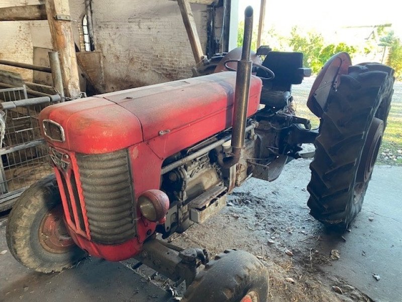 Traktor a típus Massey Ferguson 65, Gebrauchtmaschine ekkor: Ringe (Kép 1)