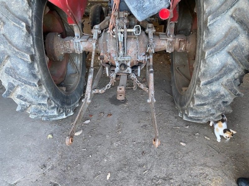 Traktor del tipo Massey Ferguson 65, Gebrauchtmaschine In Ringe (Immagine 5)