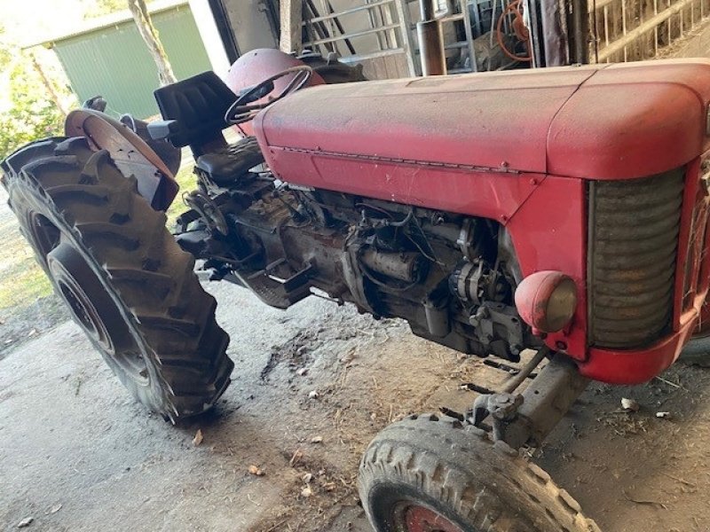 Traktor del tipo Massey Ferguson 65, Gebrauchtmaschine In Ringe (Immagine 2)