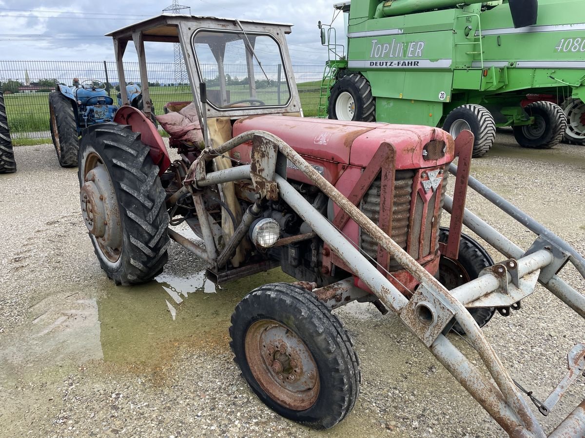 Traktor des Typs Massey Ferguson 65, Gebrauchtmaschine in Burgkirchen (Bild 2)