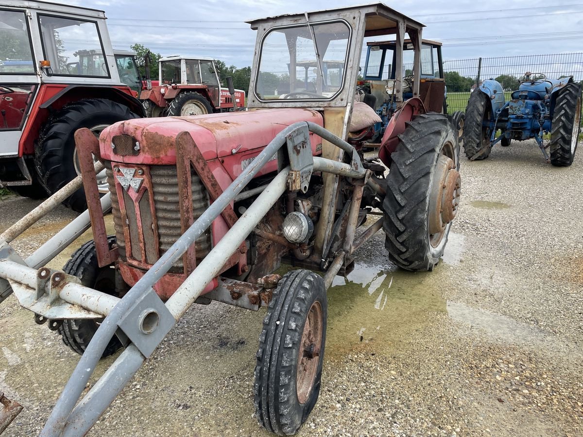 Traktor типа Massey Ferguson 65, Gebrauchtmaschine в Burgkirchen (Фотография 1)