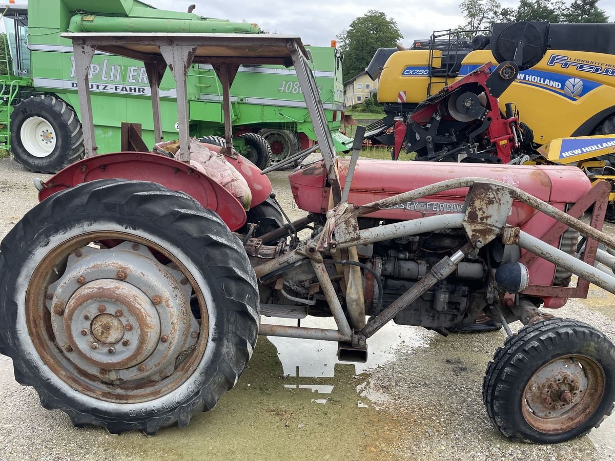 Traktor typu Massey Ferguson 65, Gebrauchtmaschine w Burgkirchen (Zdjęcie 5)