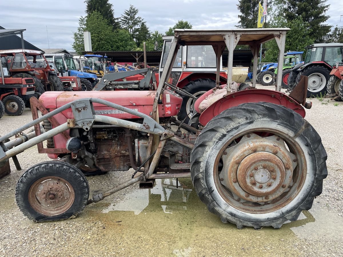 Traktor типа Massey Ferguson 65, Gebrauchtmaschine в Burgkirchen (Фотография 3)