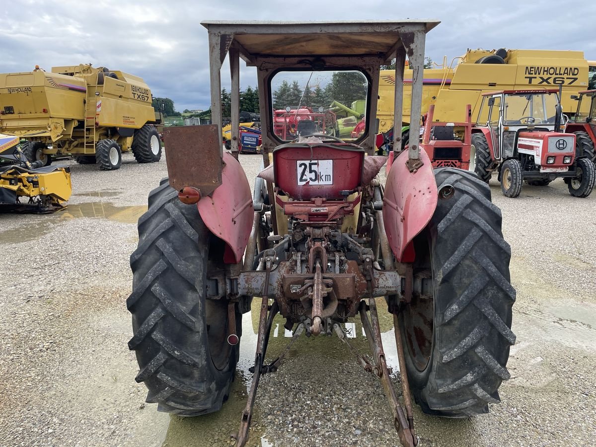 Traktor του τύπου Massey Ferguson 65, Gebrauchtmaschine σε Burgkirchen (Φωτογραφία 4)