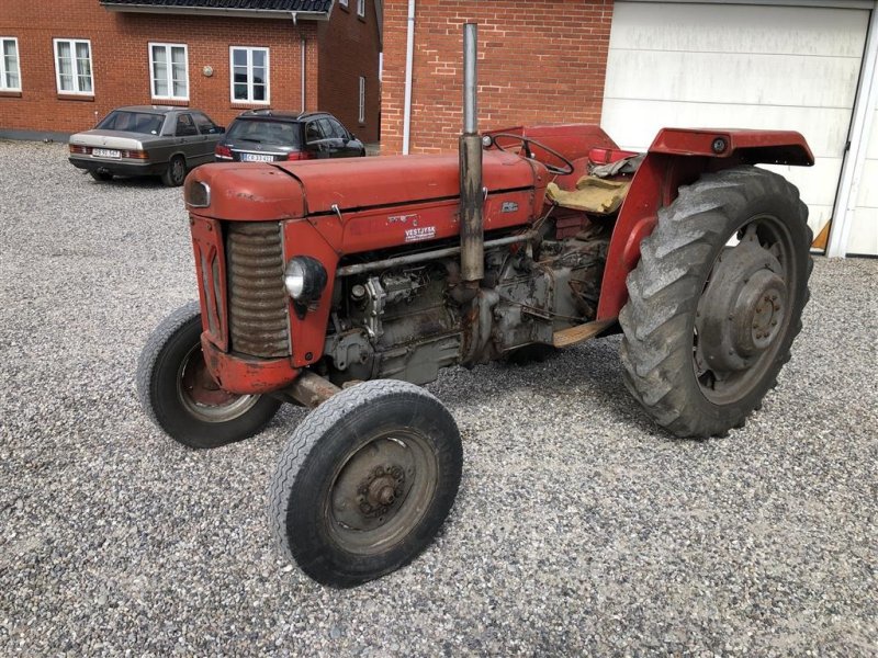 Traktor του τύπου Massey Ferguson 65, Gebrauchtmaschine σε Nørager (Φωτογραφία 1)