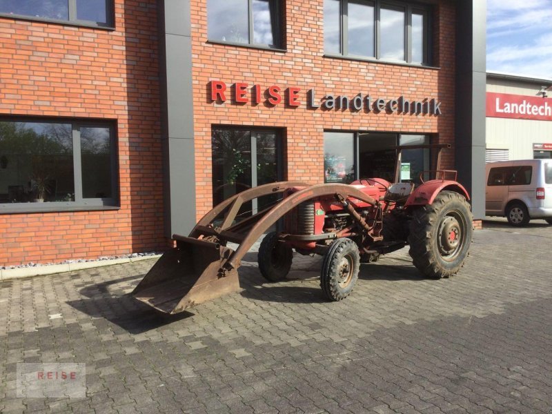 Traktor Türe ait Massey Ferguson 65, Gebrauchtmaschine içinde Lippetal / Herzfeld (resim 1)