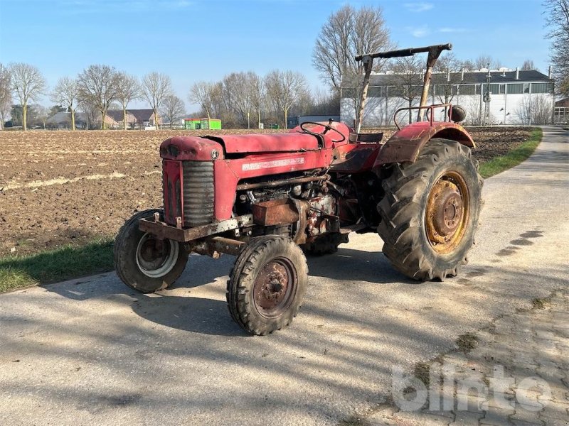 Traktor del tipo Massey Ferguson 65, Gebrauchtmaschine en Düsseldorf (Imagen 1)