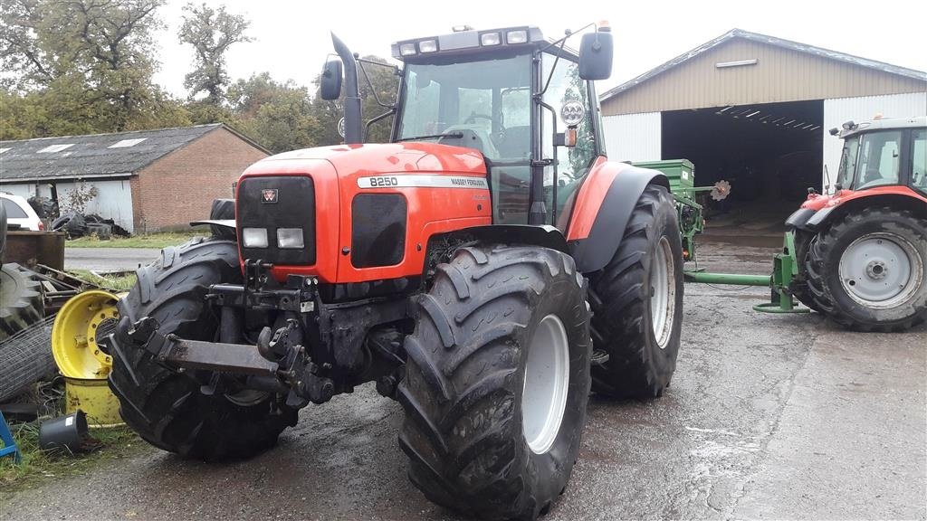 Traktor typu Massey Ferguson 8250 m.herregårdspakke frontlift, Gebrauchtmaschine v Brædstrup (Obrázek 1)