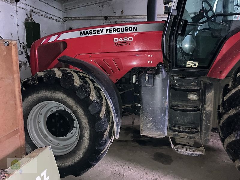 Traktor of the type Massey Ferguson 8480 Dyna VT, Gebrauchtmaschine in Salsitz (Picture 1)