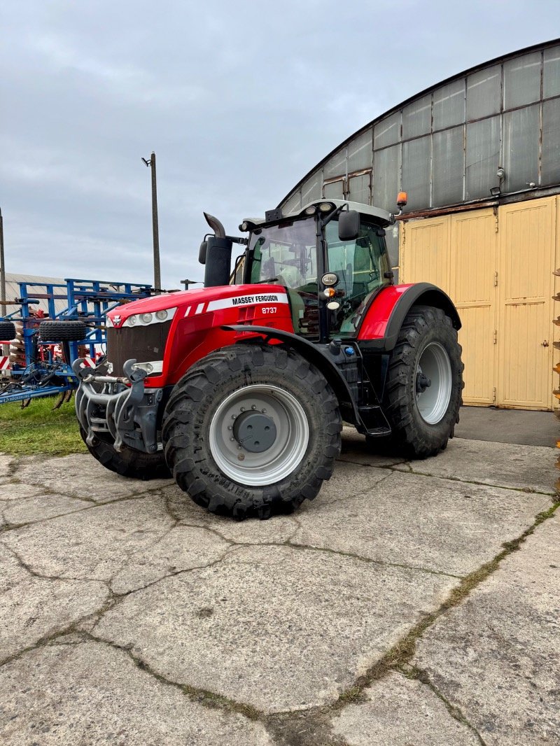 Traktor van het type Massey Ferguson 8737 DynaVT, Gebrauchtmaschine in Liebenwalde (Foto 1)