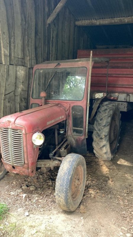 Traktor Türe ait Massey Ferguson DIVERS, Gebrauchtmaschine içinde ISIGNY-LE-BUAT (resim 2)