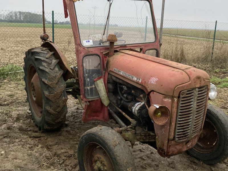 Traktor Türe ait Massey Ferguson DIVERS, Gebrauchtmaschine içinde CINTHEAUX (resim 1)